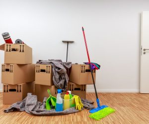 Move-in-Cleaning